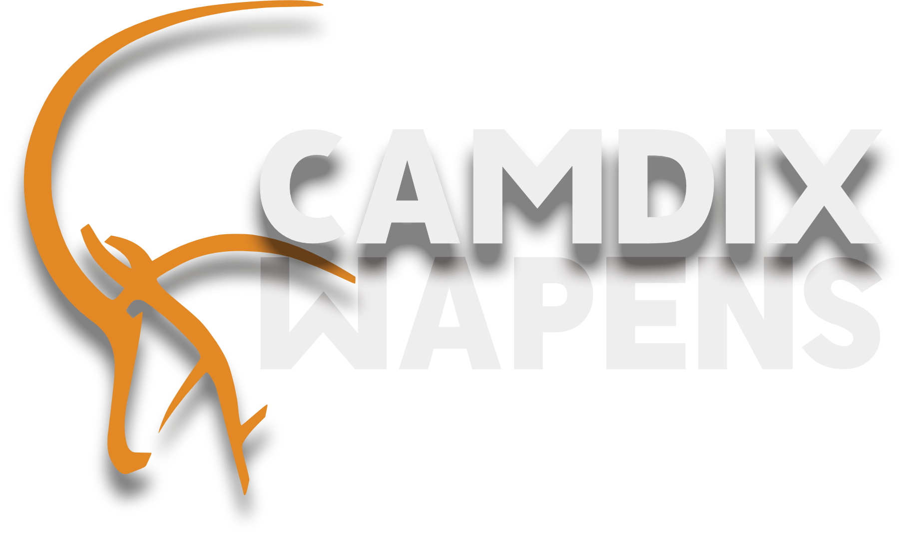 Camdix Logo